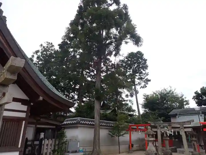 星田神社のその他建物