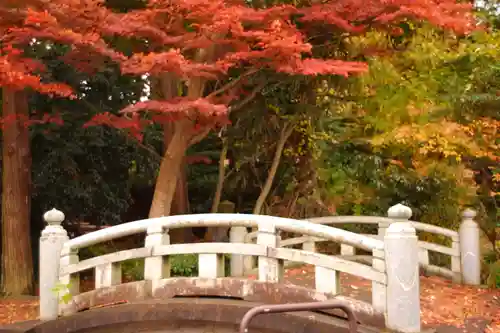 天津神社(新潟県)