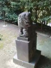 富岡八幡宮の狛犬