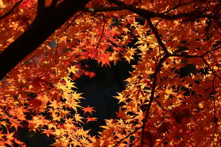 国宝 大法寺の自然