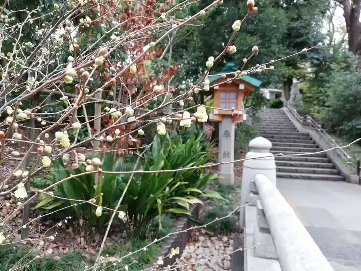 東郷神社の庭園