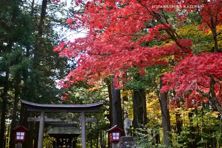 北口本宮冨士浅間神社(山梨県)