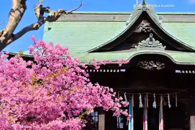 桜神宮(東京都)