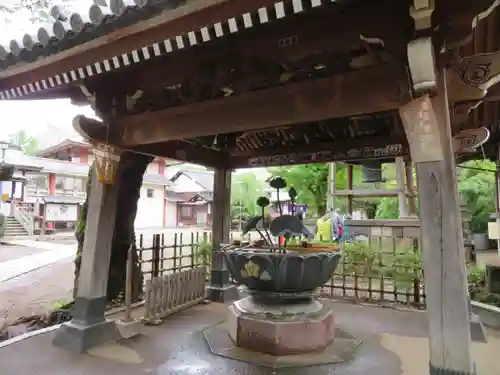 新井薬師（梅照院）の手水舎