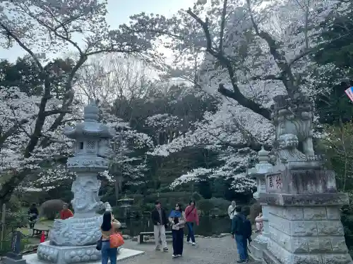 香取神宮の{uncategorized: "未分類", other: "その他", undefined: "問題あり", building: "その他建物", grave: "お墓", sacred_gate: "鳥居", guardian: "狛犬", statue: "像", buddha: "仏像", history: "歴史", nature: "自然", garden: "庭園", animal: "動物", pagoda: "塔", temizu: "手水舎", mountain_gate: "山門・神門", sanctuary: "本殿・本堂", subordinate: "末社・摂社", art: "芸術", scenery: "景色", jizo: "地蔵", ema: "絵馬", goshuin: "御朱印", omikuji: "おみくじ", items: "授与品その他", amulet: "お守り", goshuincho: "御朱印帳", eats: "食事", festival: "お祭り", votive_dance: "神楽", shichigosan: "七五三参", wedding: "結婚式", experience: "体験その他", initially: "初詣", around: "周辺", anti_infection: "感染症対策"}