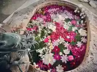 立志神社の手水舎