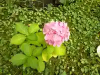 花巻神社(岩手県)