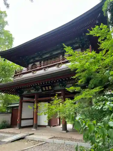 善導寺(群馬県)