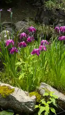 長谷寺(奈良県)