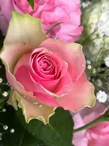 上尾御嶽神社の手水舎