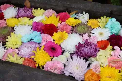 回向院(東京都)