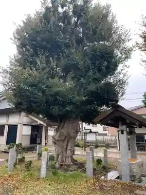 香取神社(旭町香取神社・大鳥神社)(千葉県)
