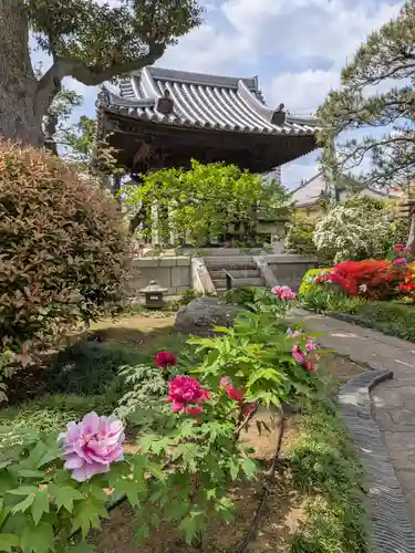 圓照寺(東京都)