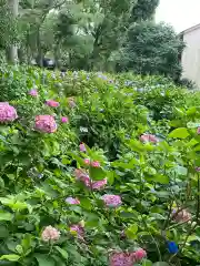 藤森神社の自然