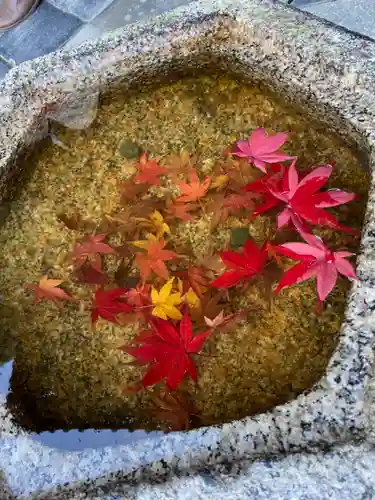東福禅寺（東福寺）の手水舎