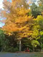 青麻神社(宮城県)
