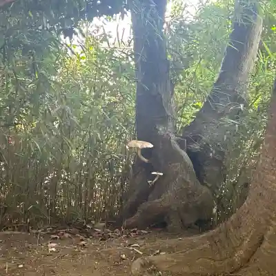 諏訪神社(神奈川県)