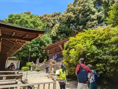 宇治上神社の本殿・本堂