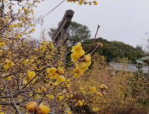 板倉雷電神社の自然
