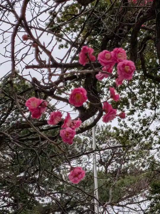 田端神社(東京都)