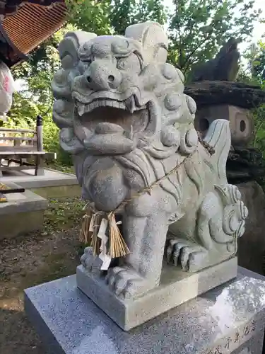 中川熊野神社の狛犬