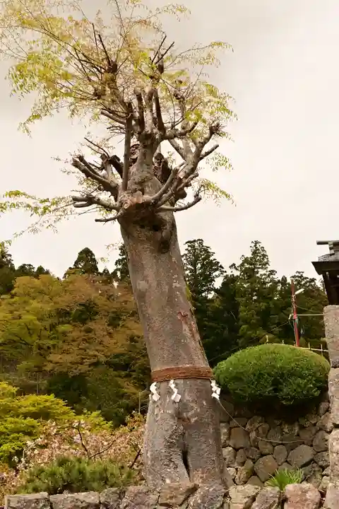 夫婦木神社(山梨県)