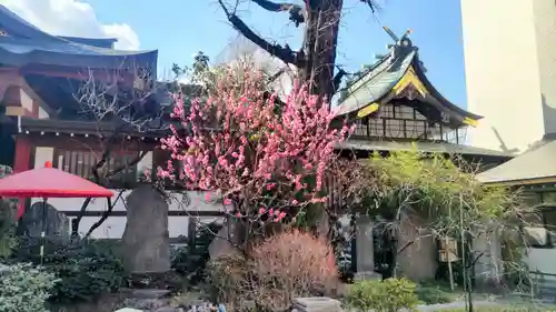素盞雄神社(東京都)
