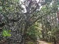 宗像神社(奈良県)