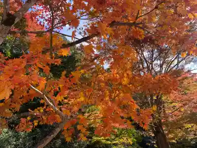 瀧安寺(大阪府)