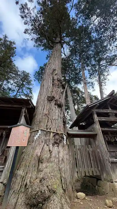豊受大神社(京都府)