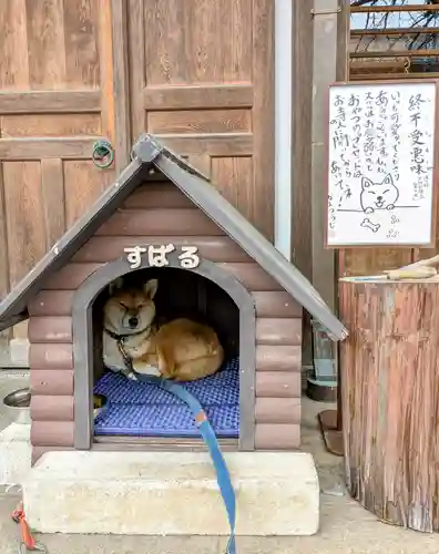 感通寺(東京都)