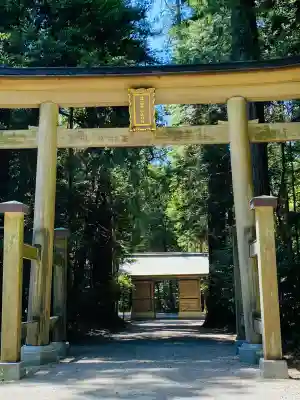 伊和神社の{uncategorized: "未分類", other: "その他", undefined: "問題あり", building: "その他建物", grave: "お墓", sacred_gate: "鳥居", guardian: "狛犬", statue: "像", buddha: "仏像", history: "歴史", nature: "自然", garden: "庭園", animal: "動物", pagoda: "塔", temizu: "手水舎", mountain_gate: "山門・神門", sanctuary: "本殿・本堂", subordinate: "末社・摂社", art: "芸術", scenery: "景色", jizo: "地蔵", ema: "絵馬", goshuin: "御朱印", omikuji: "おみくじ", items: "授与品その他", amulet: "お守り", goshuincho: "御朱印帳", eats: "食事", festival: "お祭り", votive_dance: "神楽", shichigosan: "七五三参", wedding: "結婚式", experience: "体験その他", initially: "初詣", around: "周辺", anti_infection: "感染症対策"}