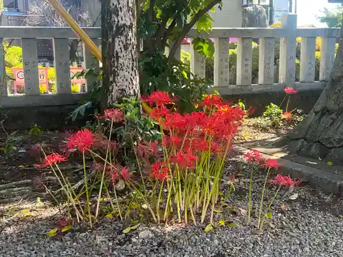 手力雄神社(岐阜県)