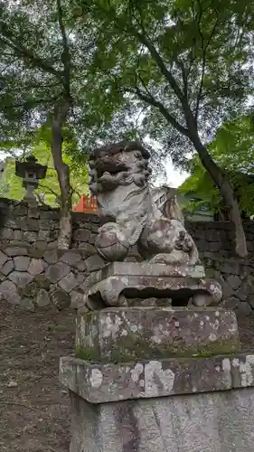 金櫻神社の狛犬