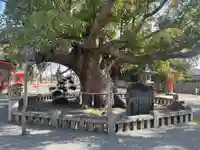 風浪宮(福岡県)