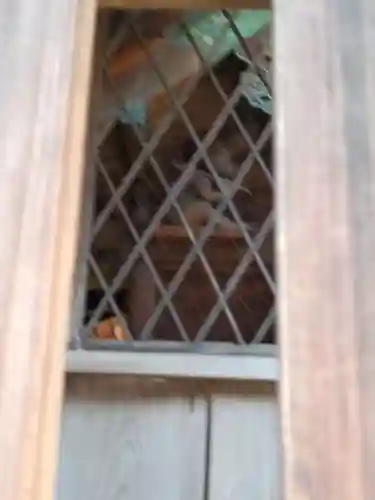 出雲路幸神社(京都府)