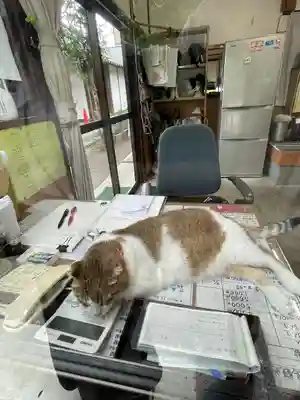 瑞巌寺(宮城県)