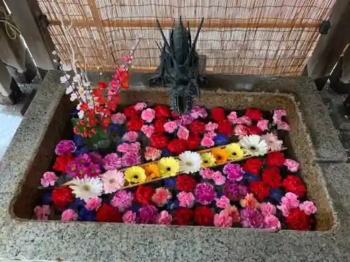 札幌諏訪神社の手水舎