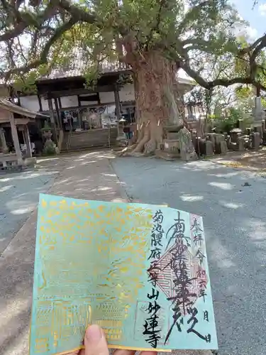 妙蓮寺(熊本県)