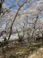佐々井厳島神社の{uncategorized: "未分類", other: "その他", undefined: "問題あり", building: "その他建物", grave: "お墓", sacred_gate: "鳥居", guardian: "狛犬", statue: "像", buddha: "仏像", history: "歴史", nature: "自然", garden: "庭園", animal: "動物", pagoda: "塔", temizu: "手水舎", mountain_gate: "山門・神門", sanctuary: "本殿・本堂", subordinate: "末社・摂社", art: "芸術", scenery: "景色", jizo: "地蔵", ema: "絵馬", goshuin: "御朱印", omikuji: "おみくじ", items: "授与品その他", amulet: "お守り", goshuincho: "御朱印帳", eats: "食事", festival: "お祭り", votive_dance: "神楽", shichigosan: "七五三参", wedding: "結婚式", experience: "体験その他", initially: "初詣", around: "周辺", anti_infection: "感染症対策"}