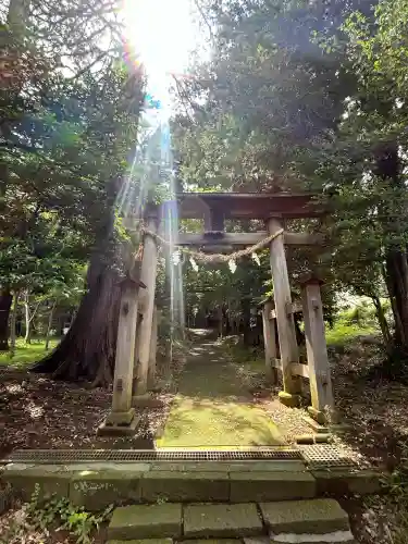 金井八幡神社(東京都)