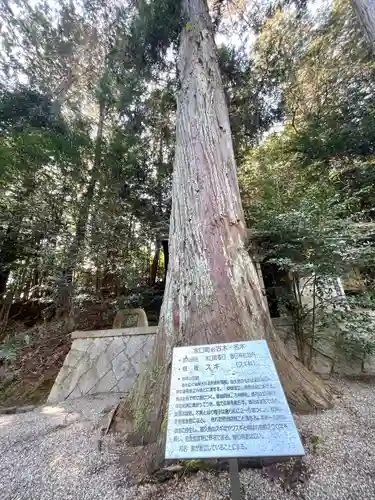 春日神社(滋賀県)
