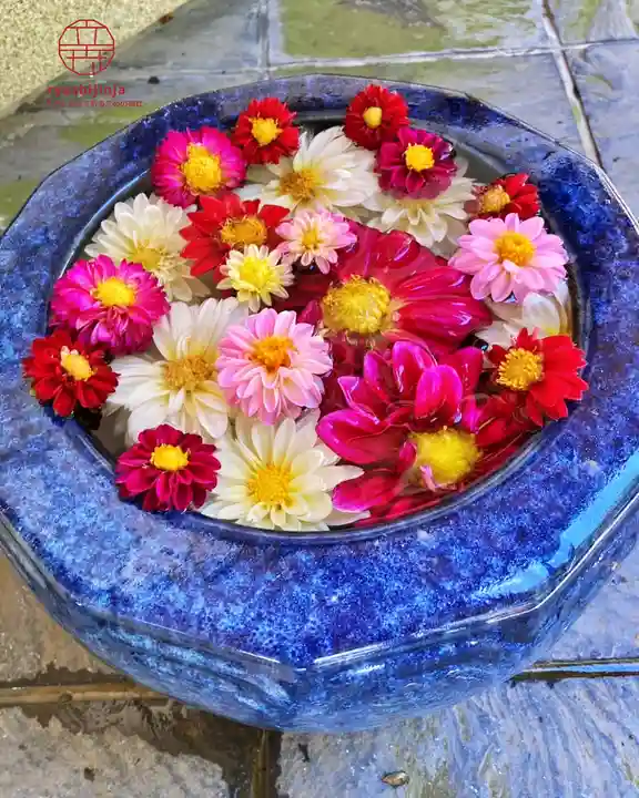 立志神社(滋賀県)