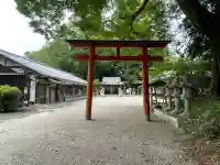 春日神社(春日)(奈良県)