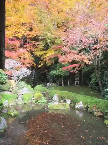 寂光院の庭園