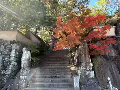 浄瑠璃寺(愛媛県)