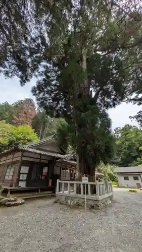 愛宕神社（阿多古神社）(京都府)