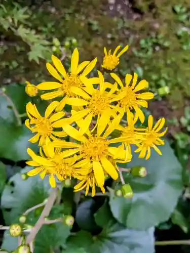 竹林寺の{uncategorized: "未分類", other: "その他", undefined: "問題あり", building: "その他建物", grave: "お墓", sacred_gate: "鳥居", guardian: "狛犬", statue: "像", buddha: "仏像", history: "歴史", nature: "自然", garden: "庭園", animal: "動物", pagoda: "塔", temizu: "手水舎", mountain_gate: "山門・神門", sanctuary: "本殿・本堂", subordinate: "末社・摂社", art: "芸術", scenery: "景色", jizo: "地蔵", ema: "絵馬", goshuin: "御朱印", omikuji: "おみくじ", items: "授与品その他", amulet: "お守り", goshuincho: "御朱印帳", eats: "食事", festival: "お祭り", votive_dance: "神楽", shichigosan: "七五三参", wedding: "結婚式", experience: "体験その他", initially: "初詣", around: "周辺", anti_infection: "感染症対策"}