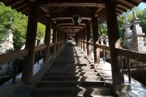 長谷寺(奈良県)