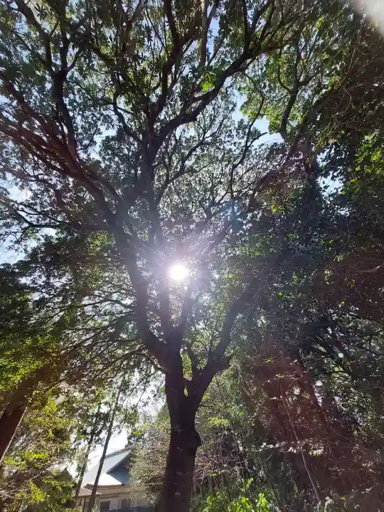 矢奈比賣神社(見付天神)の自然